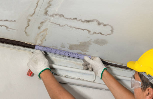 Reliable Water Damage contractor in Paris, MO by Water Damage Irwin